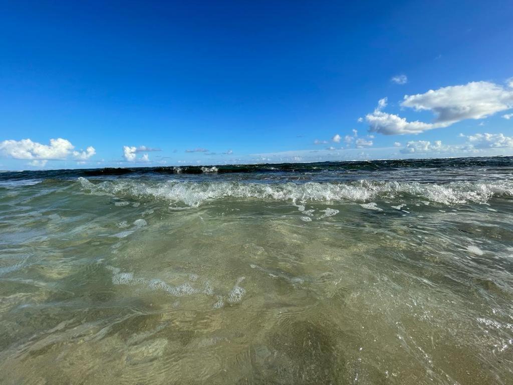 Appartement La Perle, T2 Les Pieds Dans L'Eau A 50M De La Mer Saint-Francois  Exteriör bild
