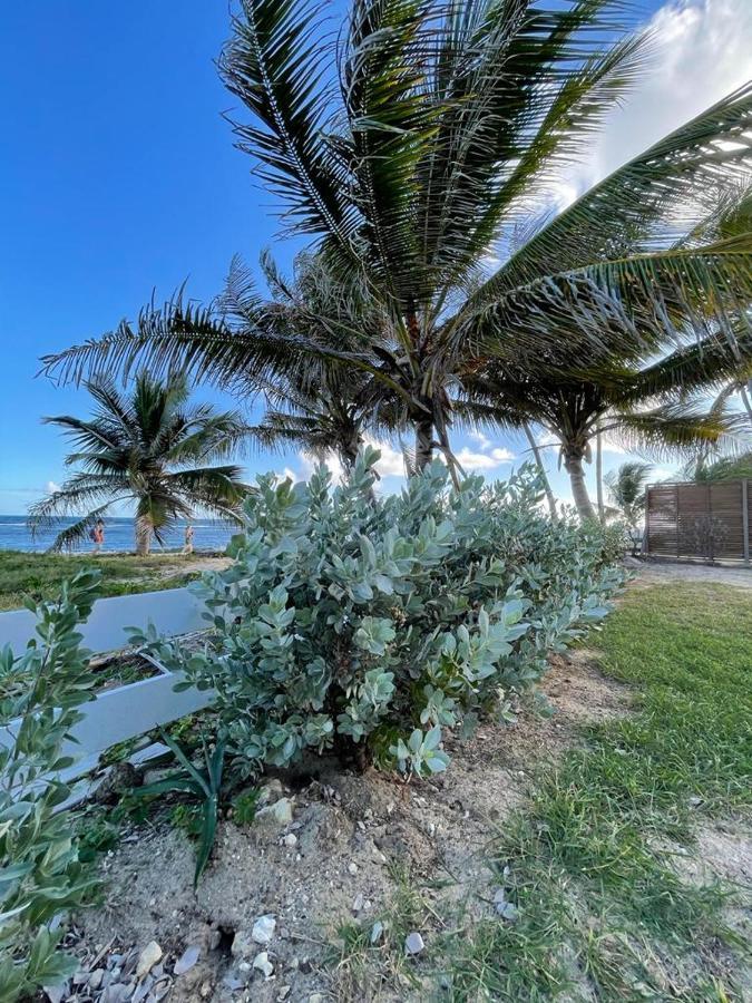 Appartement La Perle, T2 Les Pieds Dans L'Eau A 50M De La Mer Saint-Francois  Exteriör bild