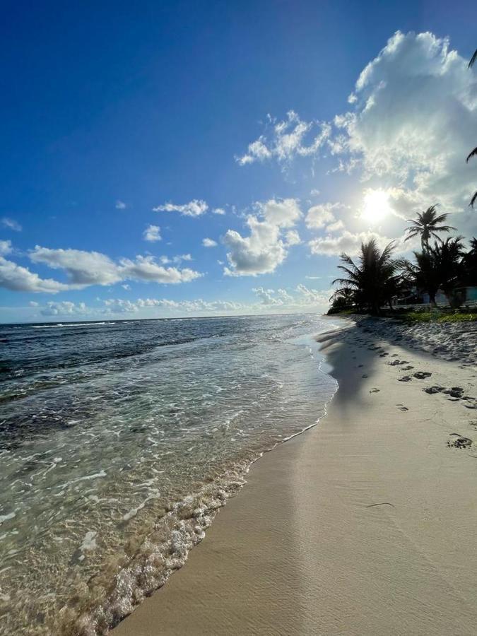 Appartement La Perle, T2 Les Pieds Dans L'Eau A 50M De La Mer Saint-Francois  Exteriör bild
